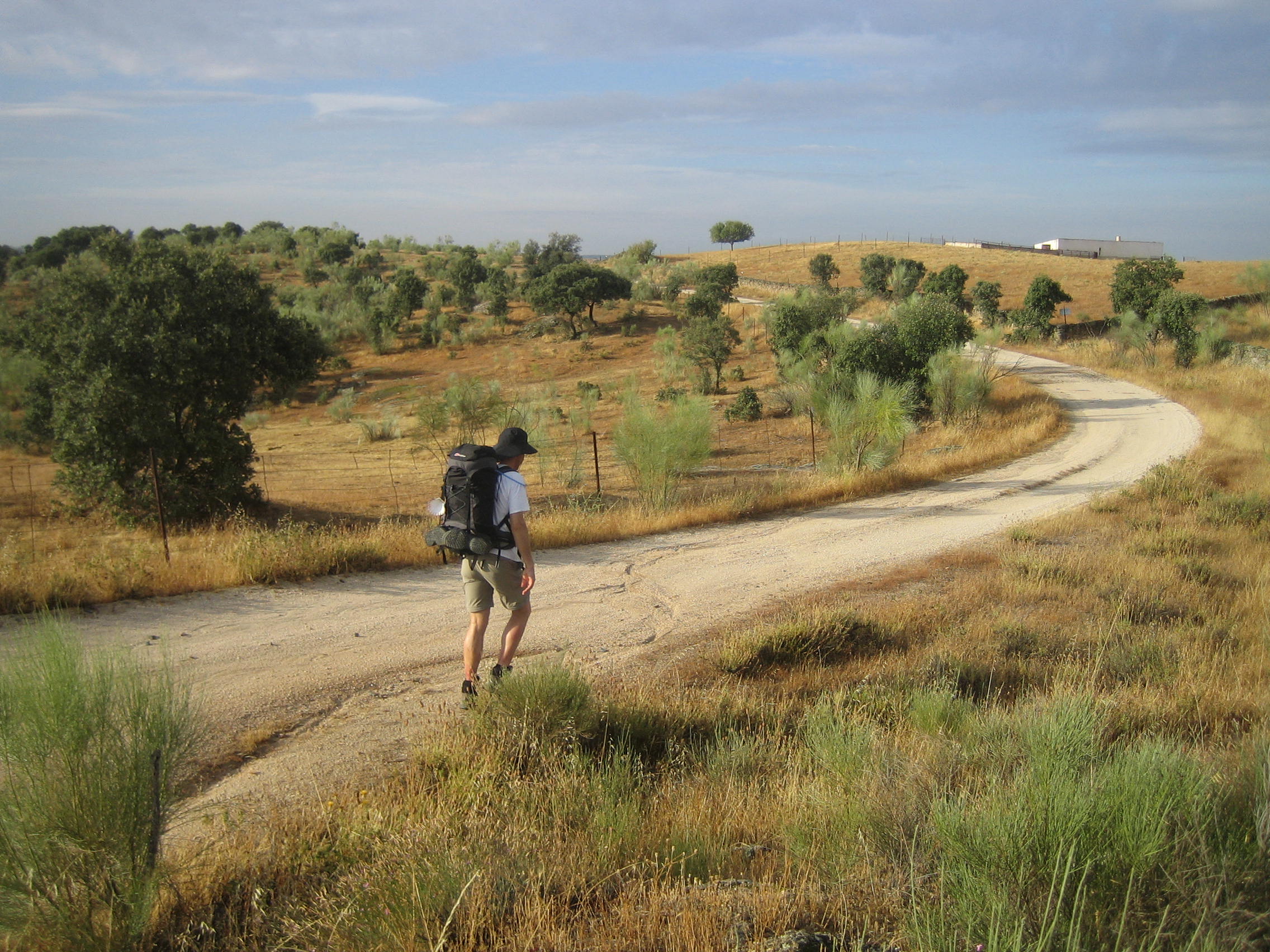 caminovej
