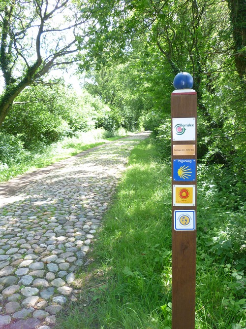 Hærvejsvandring