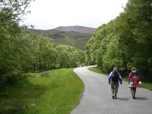 Langdistancevandring