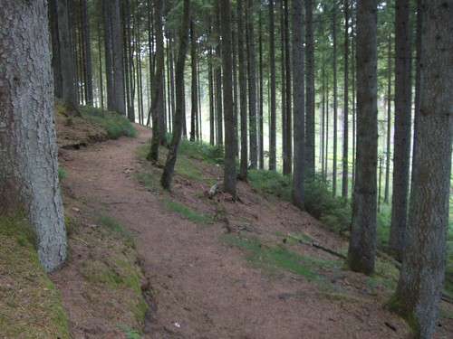 Langdistancevandring