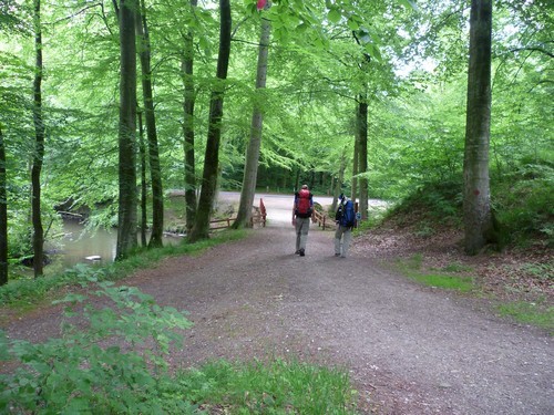 Langdistancevandring