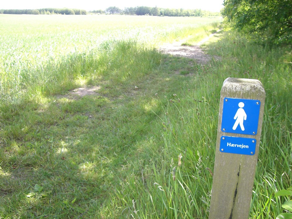 Hærvejen